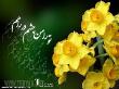 لحظه هاي آبي - قاسمي